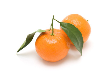 Two orange clementines on white background