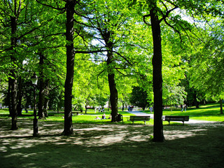 Fototapeta na wymiar City Park w Sztokholmie, Szwecja