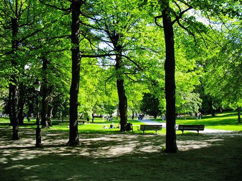 City Park in Stockholm, Sweden
