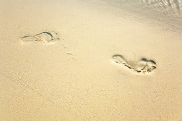 Fototapeta na wymiar human adult footprint in the fine sand at the beach