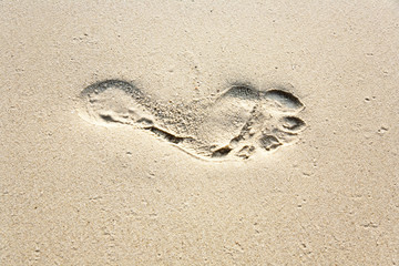 human adult footprint in the fine sand at the beach