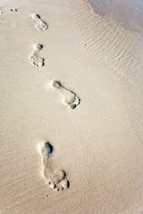 Fototapeta na wymiar human adult footprint in the fine sand at the beach