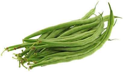 haricot vert, Phaseolus vulgaris, fond blanc