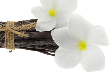 Fototapeta na wymiar rozruchu białe kwiaty frangipani waniliowym