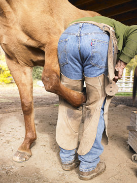 Farrier Holding Horse Hoof