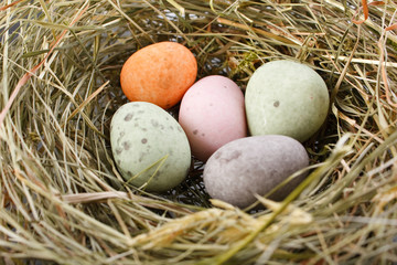 Naklejka na ściany i meble chocolate eggs in the nest.