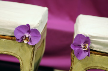sedie con orchidea