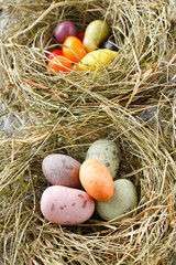 chocolate eggs in the nest.