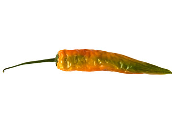 Chilischote isoliert auf weißem Hintergrund