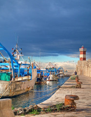 Landscape seaport. Monopoli. Apulia.