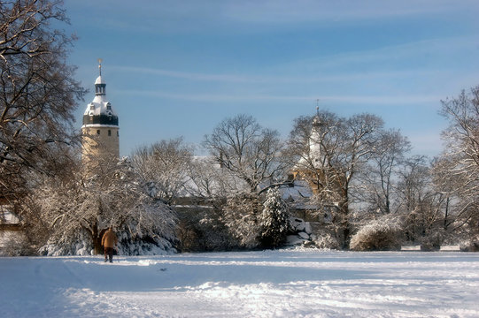 Türme des Schlosses Altenburg