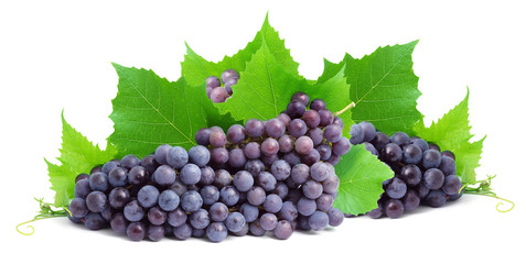 Bunch of fresh grapes