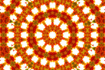 Abstract floral background: autumnal maple leaves