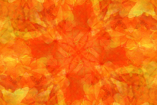 Abstract background: autumnal maple leaves (SOFT FOCUSED)