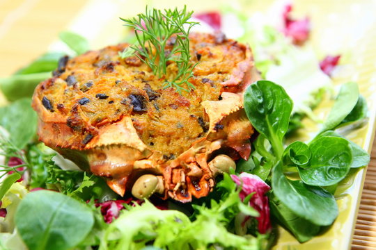 Gratin de crabe et mesclum