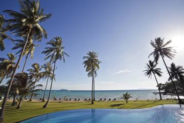 Swimming pool and palm trees. © Stephane BENITO