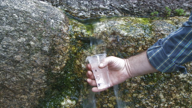 Fresh water source flowing among stones in forest