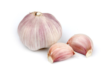 Garlic head close-up