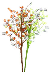 bouquet arbre miroir fond blanc