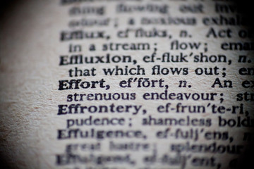 Definition of Effort