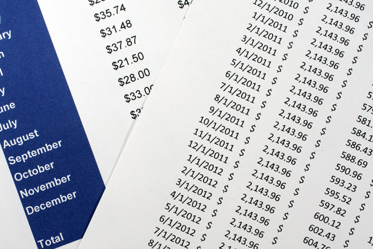 Amortization Table And Financial Data