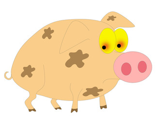 piggy