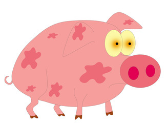 piggy