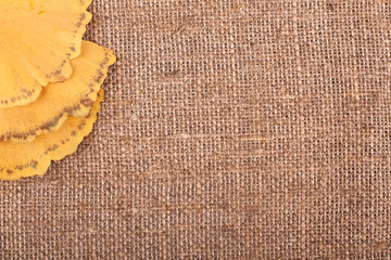 Yellow leaves