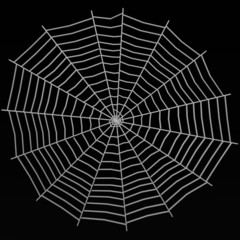 spiderweb