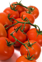vine tomatoes
