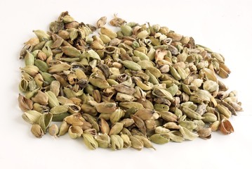 cardamon aromatic grains
