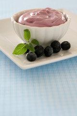 Blueberry Yogurt