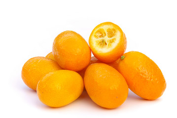 Kumquat 04