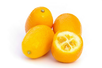 Kumquat 06