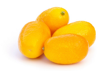Kumquat 07