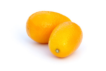Kumquat 08