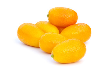 Kumquat 09