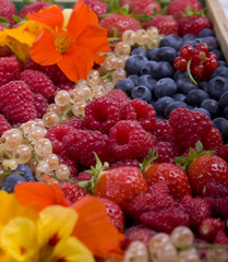 Framboises et autres fruits rouges