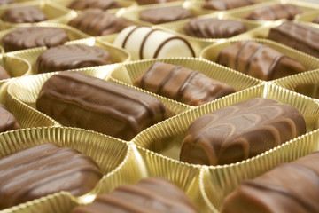 many variations of delicious chocolat bonbons isolated