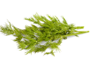 Dill