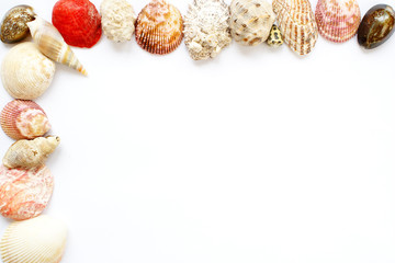 Seashells frame