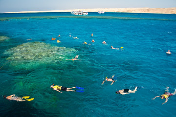 Red Sea Snorkeling