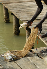 pêche et pêcheur africains