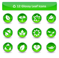 Obraz premium Glossy Leaf Icons