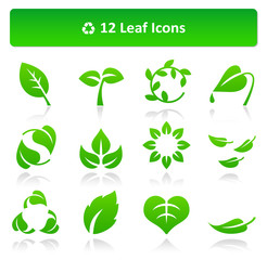 Leaf Icons