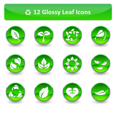 Glossy Leaf Icons