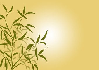 Bambus Hintergrund - Blätter