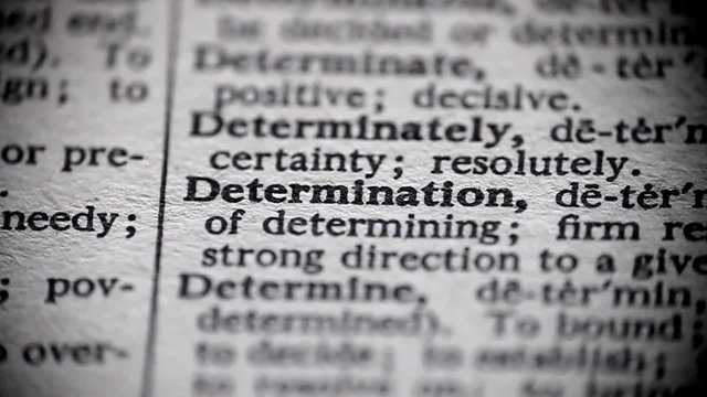 Definition of Determination