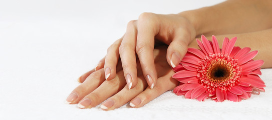 Obraz na płótnie Canvas Ręce z french manicure i różowy kwiat