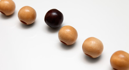 individuum